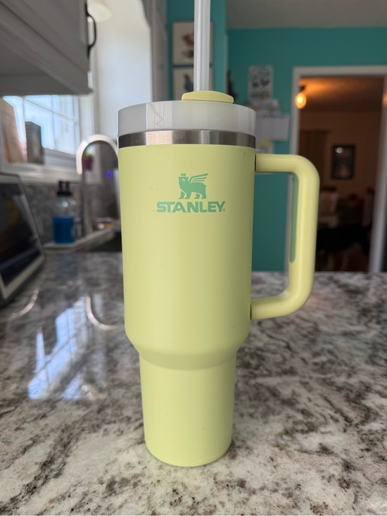 Stanley Other - Stanley Pale Green 40 oz Quencher